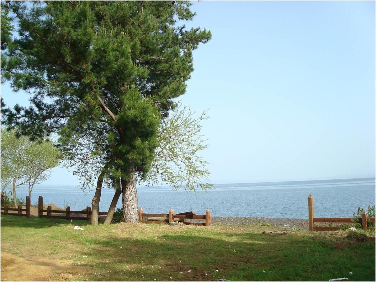 Cabanas Ana Krause * Pucón